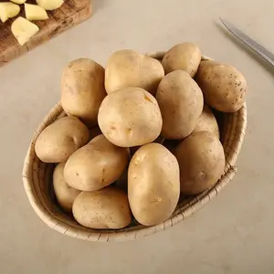 Irish Gold Potatoes: Premium Quality Fresh Harvest from Ireland's Rich Soil