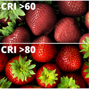 Ledco 60 <span class=keywords><strong>LED</strong></span> mét Dải 12 Watt 24 Volt IP65 Nhiệt độ màu đèn 6000K lạnh trắng Loại sản phẩm <span class=keywords><strong>LED</strong></span> dải - Product Image 5