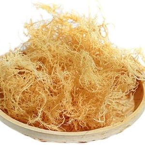 MUSGO IRLANDÉS NATURAL EUCHEMA COTTONII ALGAS PRODUCTO SUPERIOR DE EXPORTACIÓN - Product Image 5