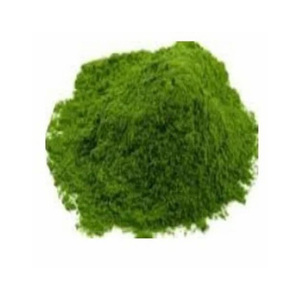 Poudre de feuilles de carvi organique séchée crue Carum Carvi/Coriandre/Poudre de jus de coriandre avec procédé de séchage AD - Product Image 4