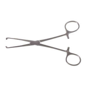Alta calidad 6 Allis Tissue Forceps Dientes Acero inoxidable CE ISO Aprobado Instrumentos quirúrgicos por Surgiright Instruments - Product Image 2