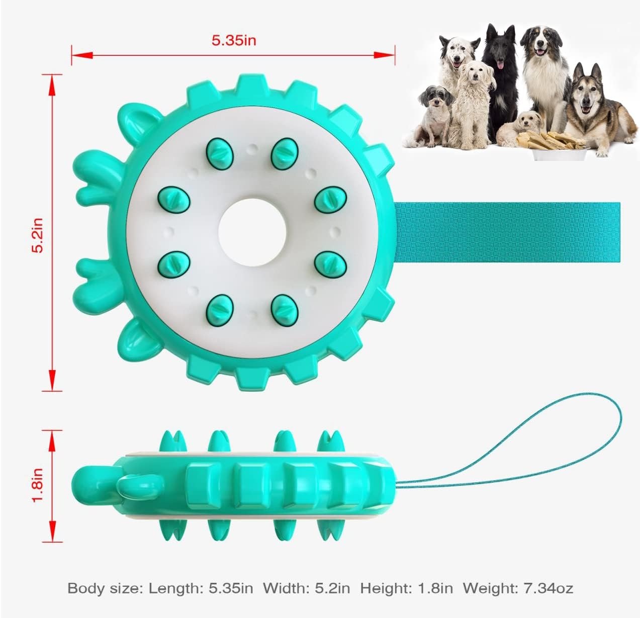 Energy Ring Dog Chewing Toy (Lake Blue)