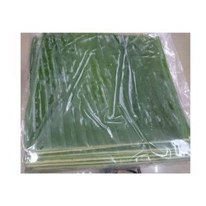 Exportation de feuilles de bananier fraîches/congelées 100% naturelles/exportation de feuilles de bananier pour la qualité alimentaire du Vietnam - Product Image 4