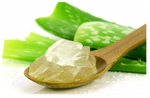 Oferta caliente Mejores precios Sabor natural fresco Aloe Vera Chunk Aloe Vera Jelly en jarabe para bebidas y tiempo de entrega corto culinario - Product Image 6