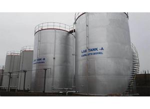Alquilbenceno Lineal C12H22 90-99% Grado Industrial Materia Prima Detergente Líquido Transparente CAS 6474-16-4 Temi Petroleum - Product Image 2