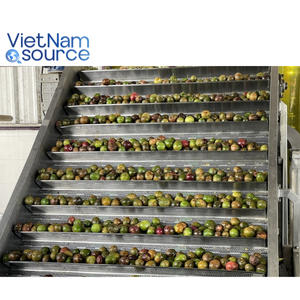 Fruta de la Pasión premium: agrega sabor exótico a la fruta de la pasión para mezclas de cócteles y salsas de postres, de fábrica de Vietnam - Product Image 6