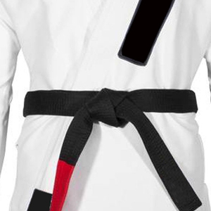 Uniforme de Karate de alta calidad, uniforme ligero de Karate de artes marciales, nuevo Kimono de Jiu jitsu, uniforme de Karate de artes marciales personalizado para hombres - Product Image 6