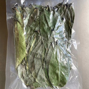 Feuilles de corossol séchées du Vietnam, directement de l'usine, Annona Muricata, matière première en vrac pour sachets de thé en vrac et étiquette personnalisée - Product Image 1