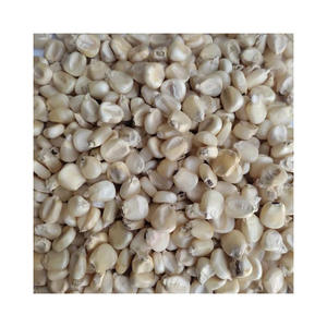 Maíz Blanco para comercio al por mayor con precio de fábrica y envío rápido - Product Image 1
