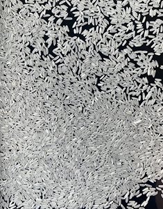 Arroz blanco orgánico jazmín vietnamita 5% roto de grano largo y corto fragante arroz seco fresco textura dura sin OGM para uso alimentario - Product Image 2