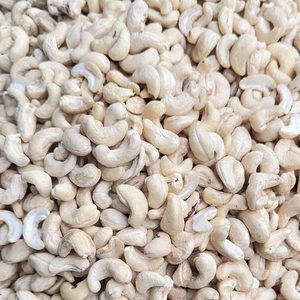 ราคา Ww240 Ww320 WS LP เม็ดมะม่วงหิมพานต์แซนติโกในเวียดนามขายส่งไปยังเอเชียยุโรปตะวันออกกลาง - Product Image 1