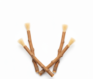 EcoHerbal Wooden Tooth <b>Stick</b> Organic Whitening Gum Health Eco Friendly Dental Hygiene Fresh Breath Cleaning <b>Miswak</b> - Product Image 4