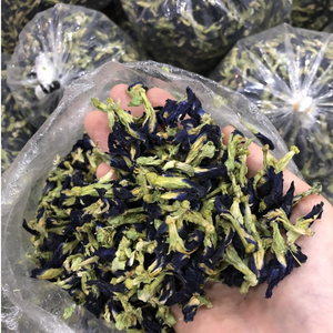 Thé de fleur de pois papillon | Riche en flavonoïdes et antioxydants - Product Image 4