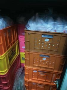 จำหน่ายไก่ทั้งตัวแช่แข็งสด ได้รับการรับรองฮาลาล สำหรับขายส่ง - Product Image 2
