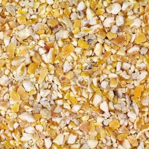 Semillas de Maíz Secas, Alimento para Pájaros, para Palomas, Ardillas, Animales de Jardín, Palomas, Canarios, Pinzones, Pájaros Cotorros, Periquitos, Agapornis, Cockatiels - Product Image 2