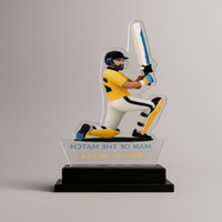 Trophée de cricket en acrylique durable, poli, gravé et imprimé en typographie, pour récompense de joueur, événements sportifs, reconnaissance des joueurs et des équipes