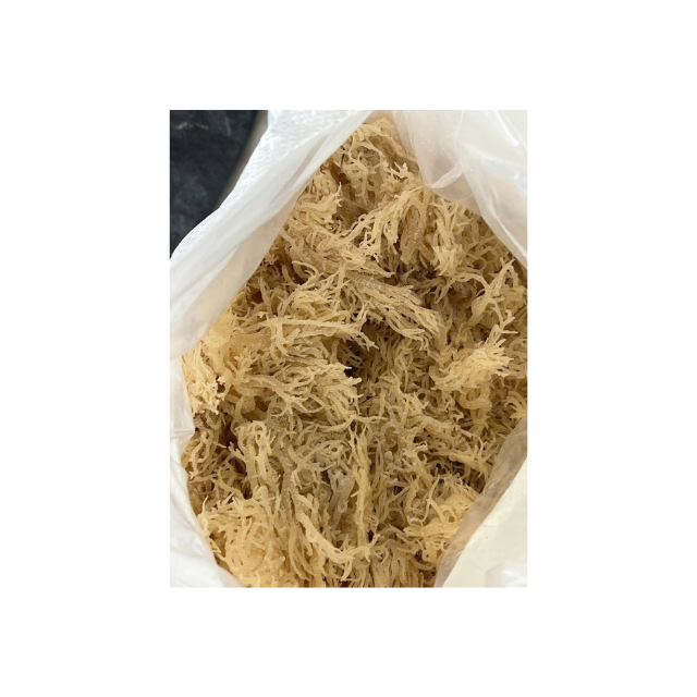 Organic Eucheuma Cottonii Seaweed Sustainably Farmed and Sun Dried Ideal for Health Food Products and Natural Thickening Agents