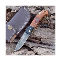 Couteau de poche pliant de qualité supérieure pour hommes et femmes Couteau porte-clés compact avec lame tranchante pour couper le papier et éplucher les fruits
