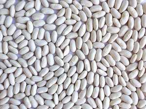 GRANDS HARICOTS BLANCS | ORIGINE DU VIETNAM | POUR L'INDUSTRIE DE LA CONSERVE - Product Image 5