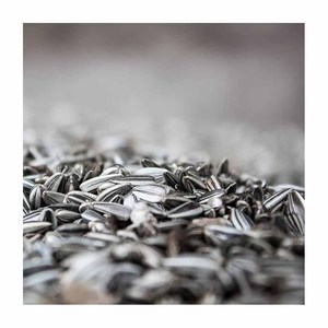 Farine de soja, de tournesol et de graines de thé de qualité supérieure, riche en protéines, emballée en sac, pour poissons, chiens, bétail, porcs - Product Image 1