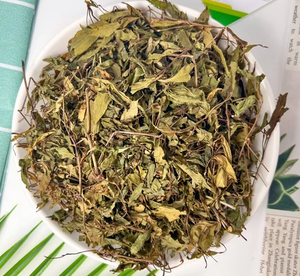 ใบโพลีสเซียสแห้งเกรดส่งออก วัตถุดิบสมุนไพรธรรมชาติสำหรับชาและผลิตภัณฑ์เพื่อสุขภาพ - Product Image 4