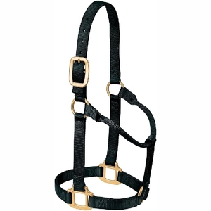 Nuevo 2025 Cabestros de caballo de alta calidad personalizados Nuevos cabestros personalizados - Product Image 6