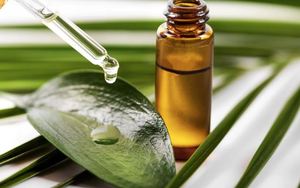 Huile de tamanu biologique de haute qualité pour les fabricants et exportateurs de cosmétiques en gros d'origine de graines d'Inde - Product Image 6