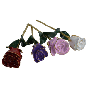 Natural Preserved <b>Rose</b> With Multi Color Design <b>Rose</b> 24k <b>Gold</b> Dipped <b>Rose</b> - Product Image 1