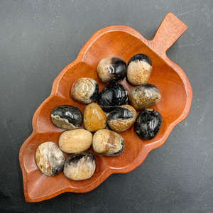 Piedra natural premium de raíz de palma con ojos – Cristal de madera fósil exótica de Indonesia con patrones oculares únicos (2–3 cm) - Product Image 1