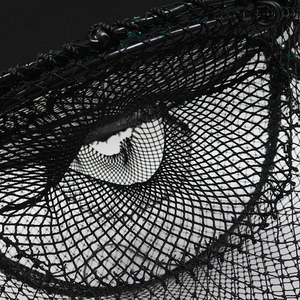 Red de pesca cangrejo olla trampa olla jaula bolsa tejida plegable cangrejo trampa pescado HDPE plegable gran oferta para pesca cuadrado negro fuerte 30cm - Product Image 5