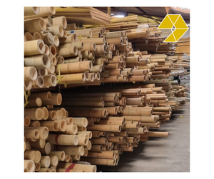 Cañas de Bambú al por Mayor para Soporte Estructural, Estacas de Jardín y Aplicaciones Agrícolas de Fábrica en Vietnam, Postes de Bambú - Product Image 1