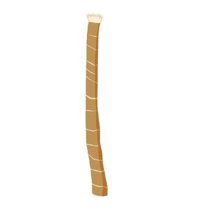 100% Pure Miswak Sticks Brosse à dents à base de plantes écologique pour l'hygiène buccale et le blanchiment des dents - Product Image 2