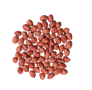 Granos de cacahuete de piel roja seca de alta calidad para picar y hornear Necesidades de cocina a precios de mayorista - Product Image 6