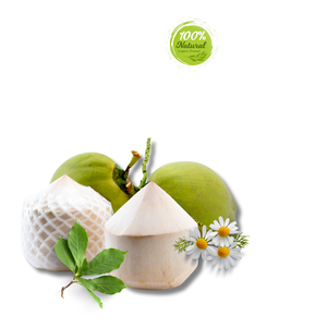 Producto agrícola de Vietnam de coco de diamante de calidad superior - Product Image 3