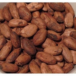 100% <b>Cacao</b> <b>Beans</b> Seeds and Cocoa Premium Quality Natural Cocoa <b>Beans</b> Wholesale Suppliers Supplier for Cheap Price - Product Image 2