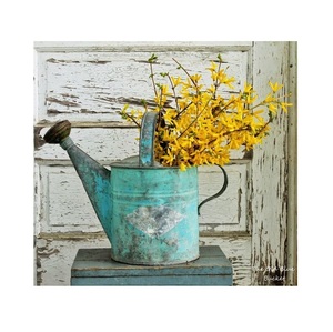 Golden Antique Metal <b>Watering</b> <b>Can</b> Supplier and Manufacturer Customized New Design <b>Galvanized</b> <b>Watering</b> <b>Can</b> Bulk <b>Wholesale</b> Supply - Product Image 5