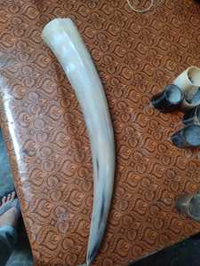 Cuernos para beber de gran tamaño, hechos a medida, muy bonitos, de tamaño 22-27 pulgadas, ideales para tallar y adecuados para reventa y también para tienda - Product Image 4