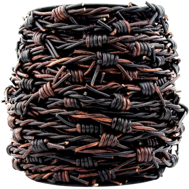 สีน้ำตาลเข้ม