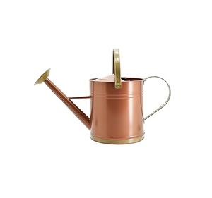 Arrosoir en métal de conception antique fait à la main en gros arrosoir pièce de conception décorative avec produit de vente - Product Image 4