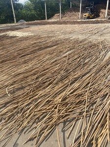 Rattan <b>Canes</b>/ Rattan Poles Eco-friendly 100% Natural Rattan Material for Home Decor Straight Rattan Stakes for Building - Product Image 6