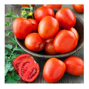Tomates cerises biologiques fraîches, couleur rouge, 20 kg, prix Portugal - Product Image 6
