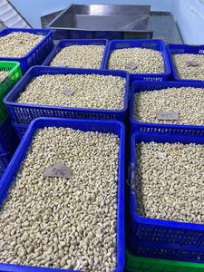 Anacardos blancos de calidad de Vietnam, anacardos crudos secos tostados de grado W240 para alimentos con certificación AFI - Product Image 5