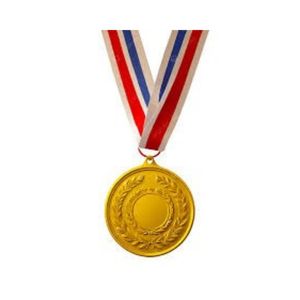 Customizable Metal Medals for Sports Achievement Awards Team Players <b>Coaches</b> School College League Event - Product Image 1