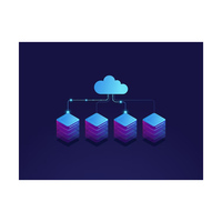 Servicios de administración de bases de datos profesionales Versión OEM compatible con DOS Mac iOS-Aplicación de servidor de venta de software empresarial