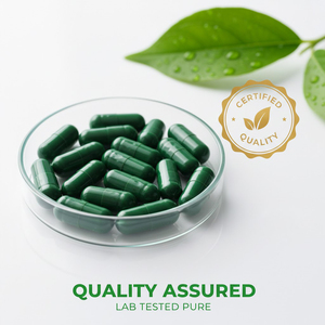Cápsulas de Spirulina Orgânica 500mg Superalimento Puro Aumenta Energia Imunidade Desintoxicação Antioxidante Vegano Não-OGM - Product Image 3