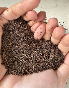 Pimienta negra de Vietnam de alta calidad de 1mm- 1,5mm, adecuada para comida de restaurante y cocina en el mercado de Asia y África (Joice) - Product Image 2