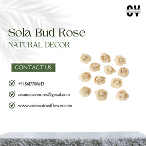 Popular calidad Premium Sola Bud Rose para DIY boda hogar evento Oficina decoración y arreglo de flores secas - Product Image 4