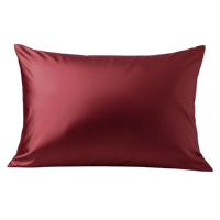 Conception personnalisée OEM 16-22 Momme 6A Grade taie d'oreiller en satin de soie turque élégante OEKO-TEX certifiée Claret Red Luxury Dot Animal