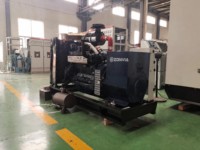 130kW 162,5kVA Erdgasgenerator für Industrielle Stromversorgung KWK-System mit Fernstart & Automatisches Startkontrollsystem