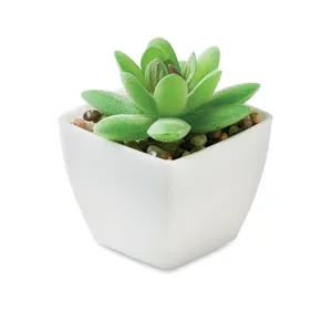 Artigrap Pianta Artificiale Personalizzata in Miniatura, Gadget Personalizzati nella Categoria Vegetazione - Product Image 5